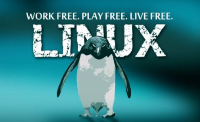 新手想學好Linux系統需要掌握哪些內容？