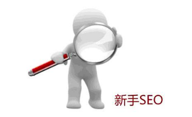 學習seo優(yōu)化之前須掌握的基本功